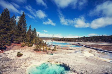 Yellowstone Milli Parkı