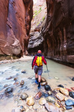Uzun yürüyüşe çıkan kimse Zion national Park
