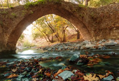 Ortaçağ Venedik Köprüsü