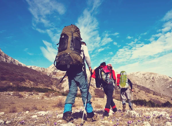 Three hikers  in  mountains — Stock Photo, Image