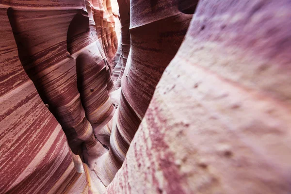 Schody escalante national park — Zdjęcie stockowe