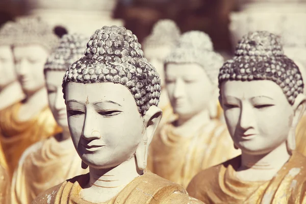 Viele Buddhas Statuen — Stockfoto