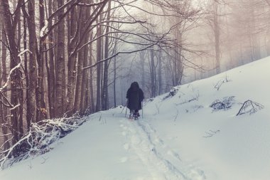 Kışın kar ayakkabıları ile uzun yürüyüşe çıkan kimse