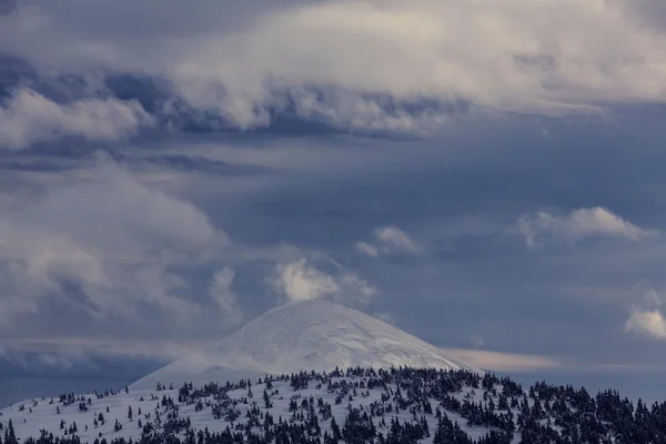 Montañas de Cárpatos cubiertas de nieve — Foto de Stock