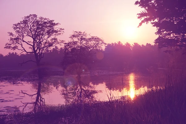 Lago incrível no Sri Lanka — Fotografia de Stock