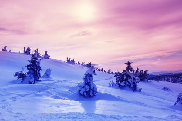 Montagnes des Carpates couvertes de neige — Photo