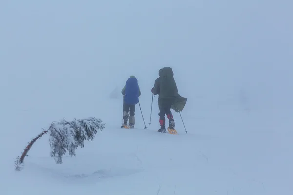 Dos excursionistas con raquetas de nieve — Foto de Stock