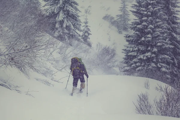 Caminante con raquetas de nieve en invierno — Foto de Stock