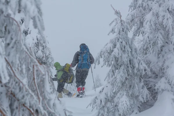 Dos excursionistas con raquetas de nieve —  Fotos de Stock