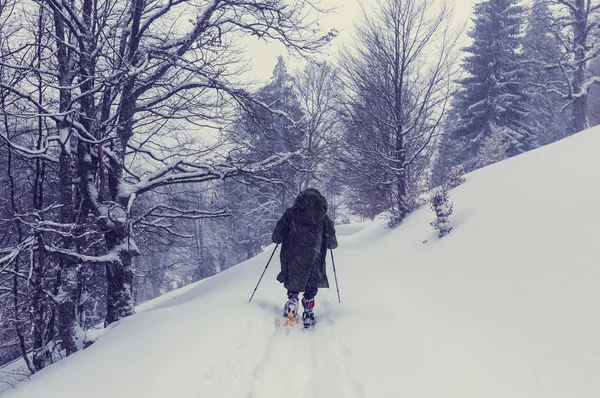 Turysta na rakietach śnieżnych w zimie — Zdjęcie stockowe