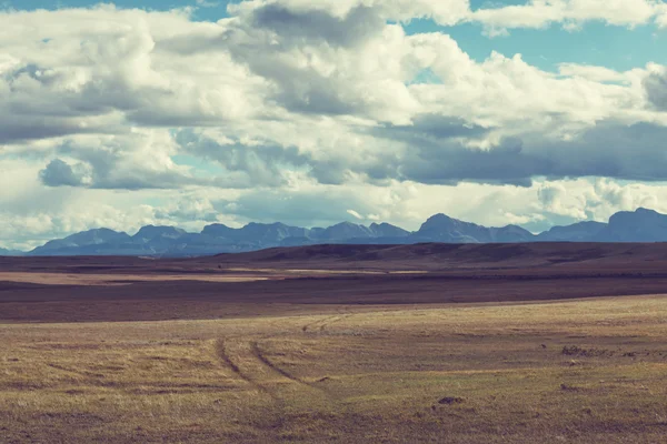 Vista del paisaje de la pradera — Foto de Stock