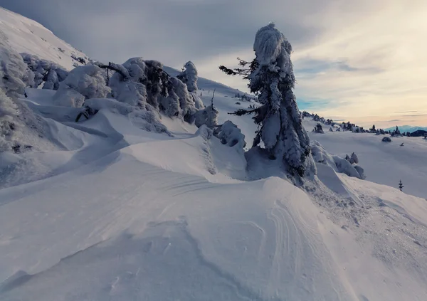 Montagnes des Carpates couvertes de neige — Photo