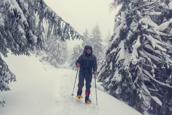 Турист в снегоступах зимой — стоковое фото