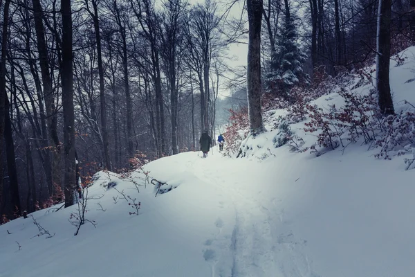 Két túrázók, télen — Stock Fotó