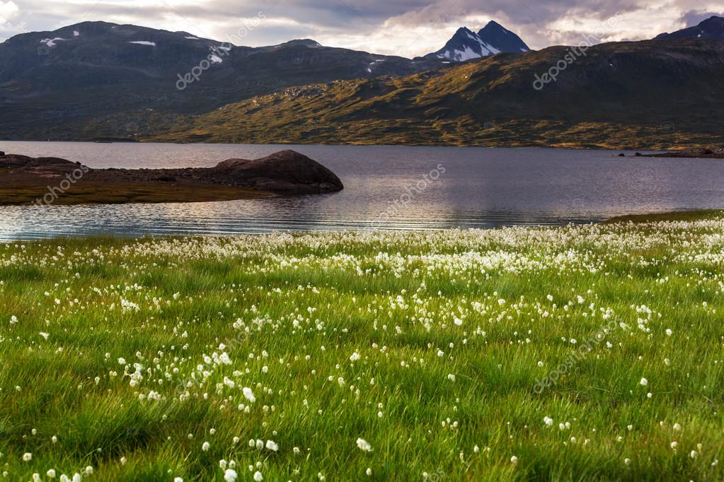 kamchatka