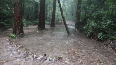 Yaz aylarında kayalar bu güzel sahnede bir nehir akıyor