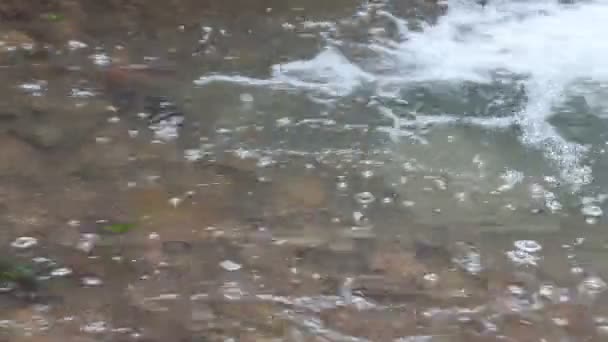 Een rivier stroomt over rotsen in deze mooie scène in de zomer — Stockvideo