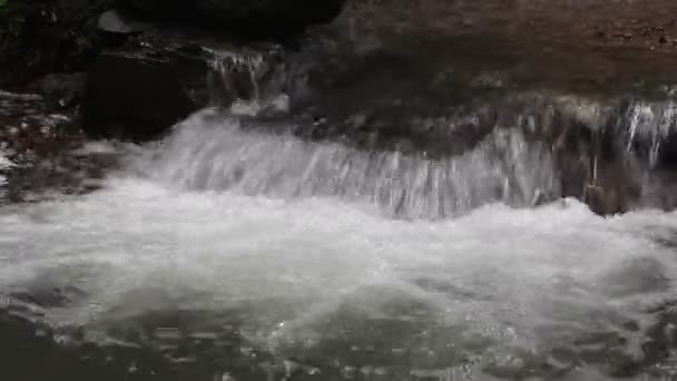Yaz aylarında kayalar bu güzel sahnede bir nehir akıyor — Stok video
