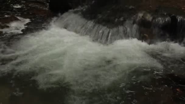 Un río fluye sobre rocas en esta hermosa escena en verano — Vídeos de Stock