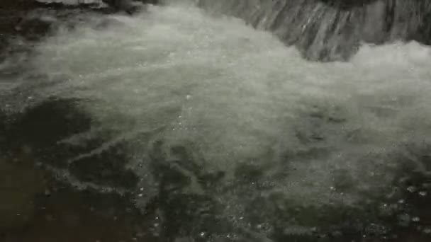 Sebuah sungai mengalir di atas batu dalam pemandangan indah ini di musim panas — Stok Video