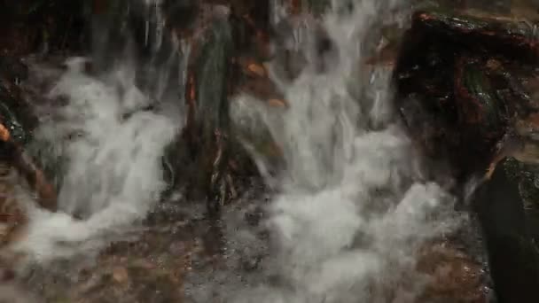 夏にこの美しいシーンで岩の上川の流れ — ストック動画