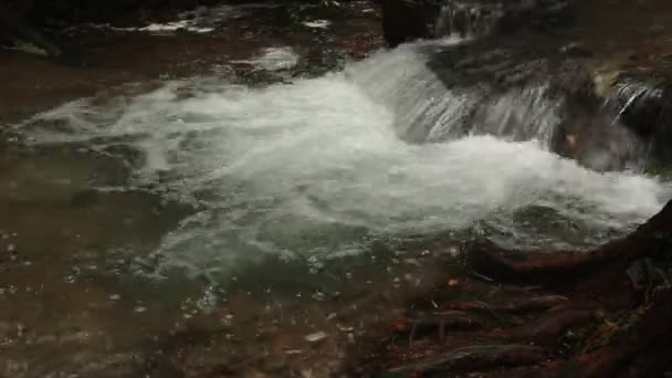 一条河流流过岩石在这美丽的景色在夏天 — 图库视频影像