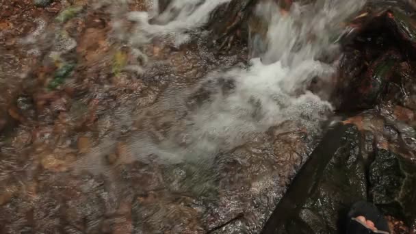 En flod rinner över stenar i denna vackra scen i sommar — Stockvideo