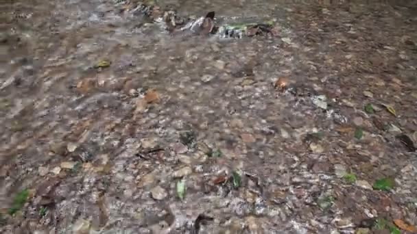 Un fiume scorre sulle rocce in questa bella scena in estate — Video Stock