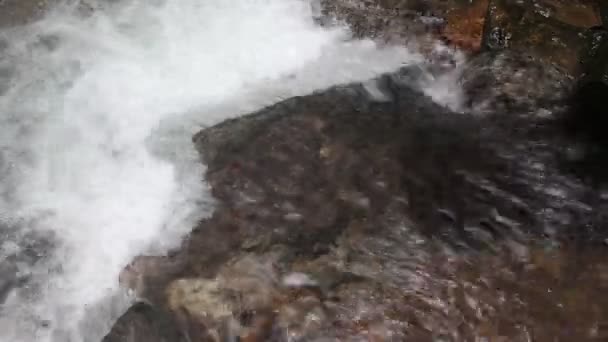 Un río fluye sobre rocas en esta hermosa escena en verano — Vídeos de Stock