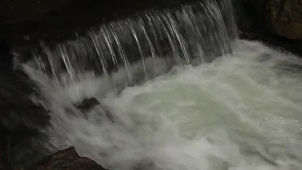Sebuah sungai mengalir di atas batu dalam pemandangan indah ini di musim panas — Stok Video