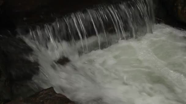 Rzeka płynie po skałach, w tym piękna scena w lecie — Wideo stockowe