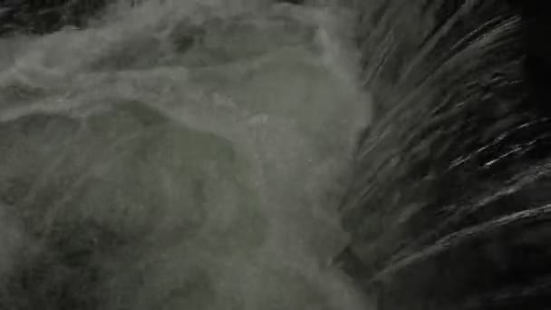 Een rivier stroomt over rotsen in deze mooie scène in de zomer — Stockvideo