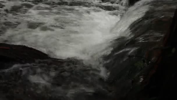 Een rivier stroomt over rotsen in deze mooie scène in de zomer — Stockvideo