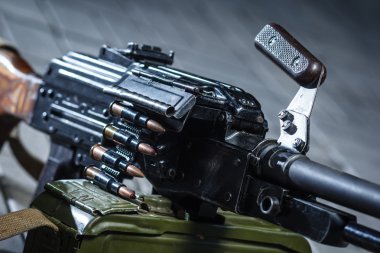 Sovyet Rus silah: Pkm detay