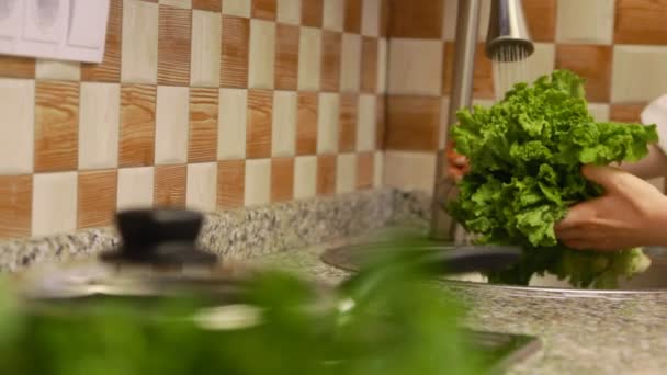 Woman making a salad with fresh vegetables, preparing lettuce — Stock Video