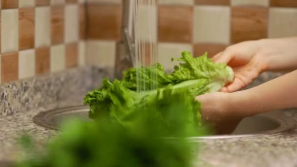 Woman making a salad with fresh vegetables, preparing lettuce — Stock Video