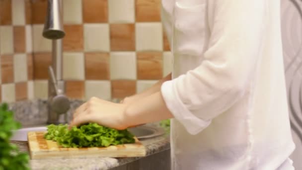 Marktlieden, maken een salade met verse groenten, sla — Stockvideo