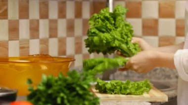 Taze sebze salatası yapma kadın marul hazırlanıyor