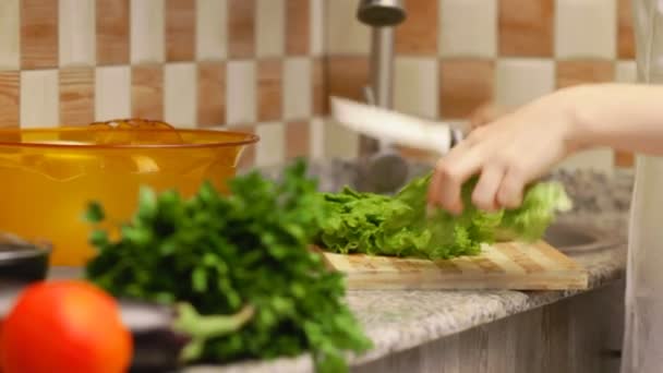 Mulher fazendo uma salada com legumes frescos, preparando alface — Vídeo de Stock