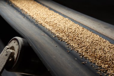conveyor belt with barley clipart