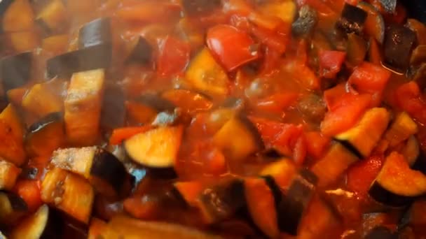 Mode de vie alimentaire sain : belle femme cuisinant occasionnellement, remuant, faire mijoter les légumes dans une casserole à la cuisine. Gros plan, statique, ralenti 60 ips . — Video