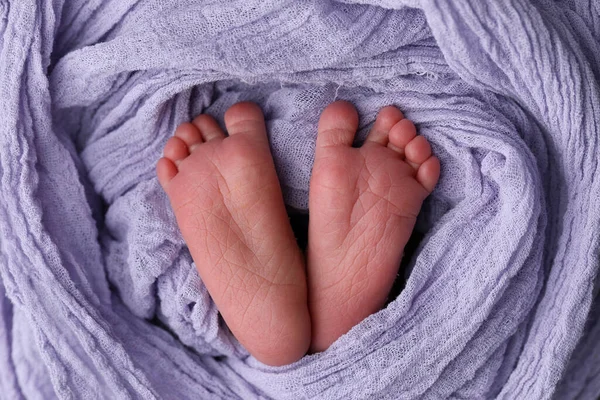 Çocukların Ayakları Yakın Plan Mavi Arka Planda Yeni Doğmuş Bir — Stok fotoğraf