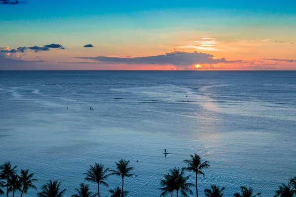 Tropical Palm Sunset — Stock Photo, Image