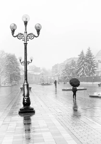 Neve Città Luci Alberi Parco Cittadino Vicino Alla Verkhovna Rada — Foto Stock