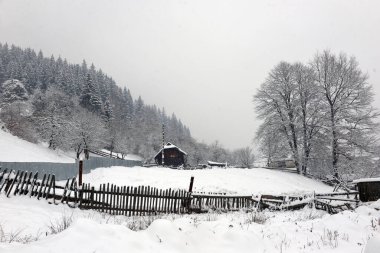 Kışın özel mülkleri olan Ukrayna Karpatlarının tipik manzarası