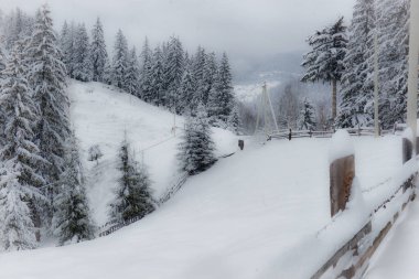 Kışın özel mülkleri olan Ukrayna Karpatlarının tipik manzarası