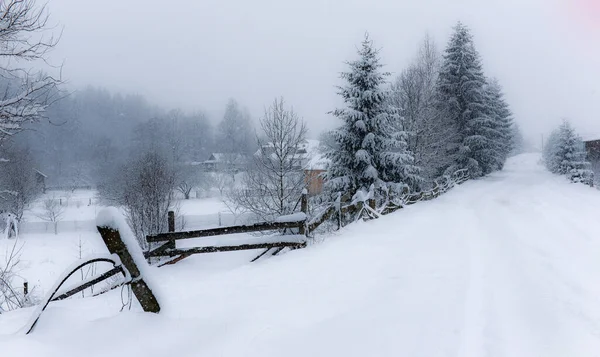 Типичный Пейзаж Украинских Карпат Частными Поместьями Зимой — стоковое фото