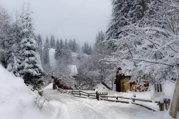 Typical Landscape Ukrainian Carpathians Private Estates Winter — Stock Photo, Image