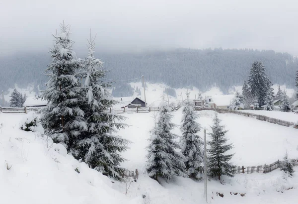 Typical Landscape Ukrainian Carpathians Private Estates Winter — Stock Photo, Image