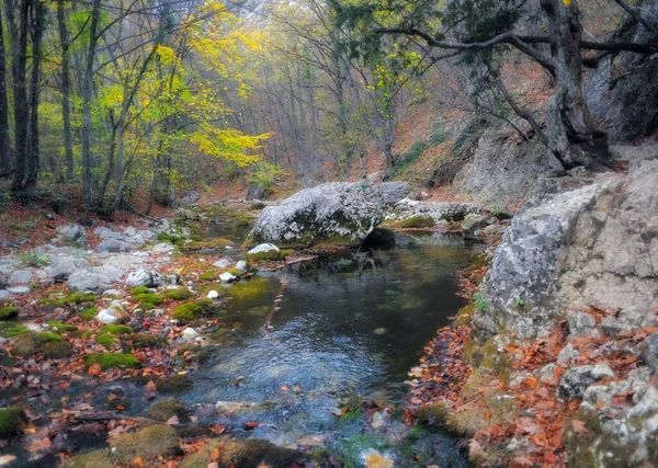 Gebirgsfluss Wald Und Gebirgslandschaft Die Krim Als Grand Canyon — Stockfoto